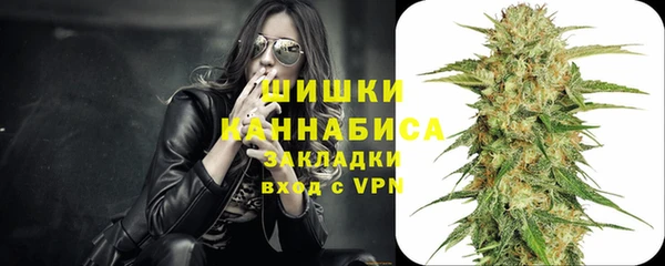 ПСИЛОЦИБИНОВЫЕ ГРИБЫ Балахна